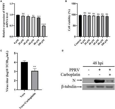 Carboplatin restricts peste des petits ruminants virus replication by suppressing the STING-mediated autophagy